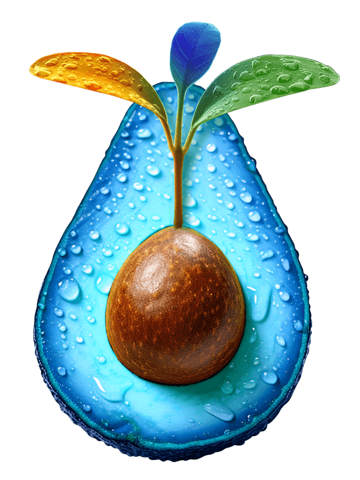 nvest Avocado Stilisierte Avocado in den nvest-Farben mit austreibendem Keimling